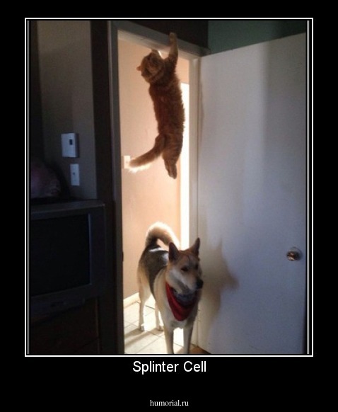 Splinter Cell
