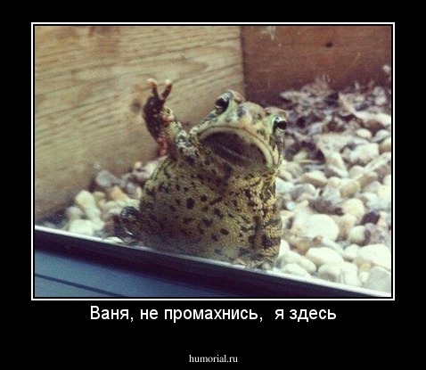 Ваня, не промахнись,  я здесь