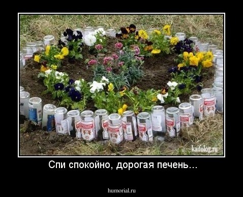  Спи спокойно, дорогая печень...
