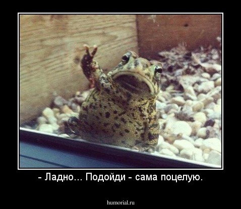 - Ладно... Подойди - сама поцелую.