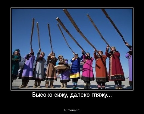 Высоко сижу, далеко гляжу...