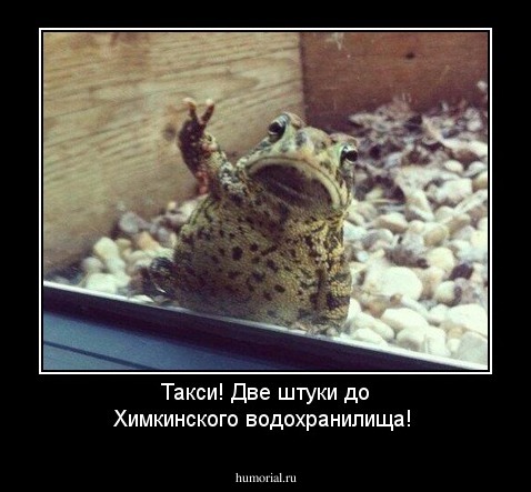 Такси! Две штуки до Химкинского водохранилища!
