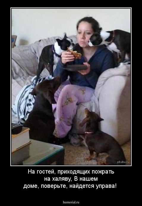 На гостей, приходящих пожрать на халяву,
В нашем доме, поверьте, найдется управа!