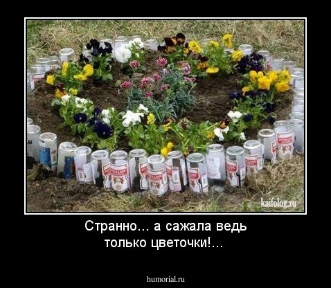 Странно... а сажала ведь только цветочки!...