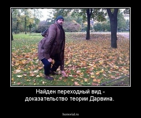Найден переходный вид - доказательство теории Дарвина.