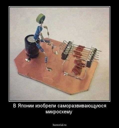 В Японии изобрели саморазвивающуюся микросхему 