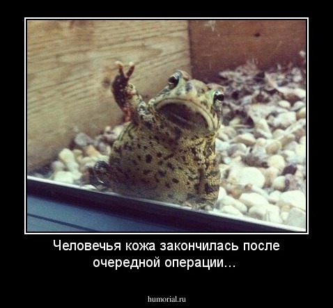 Человечья кожа закончилась после очередной операции...