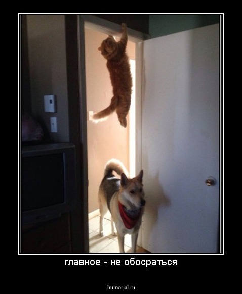 главное - не обосраться