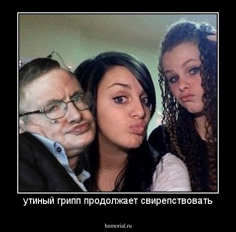 утиный грипп продолжает свирепствовать