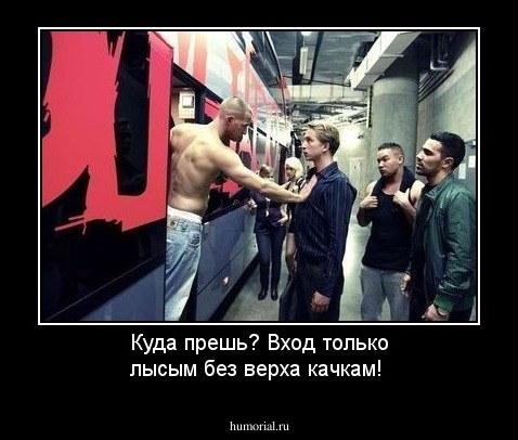 Куда прешь? Вход только лысым без верха качкам!