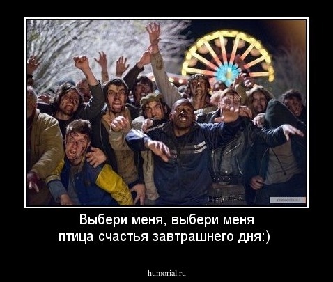 Выбери меня, выбери меня птица счастья завтрашнего дня:)