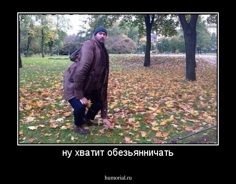 ну хватит обезьянничать