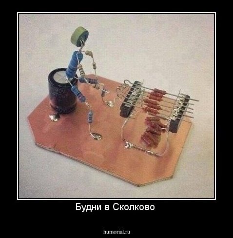 Будни в Сколково 