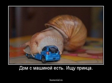 Дом с машиной есть. Ищу принца.