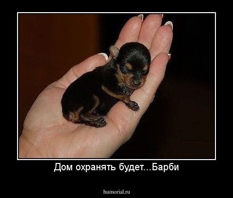 Дом охранять будет...Барби
