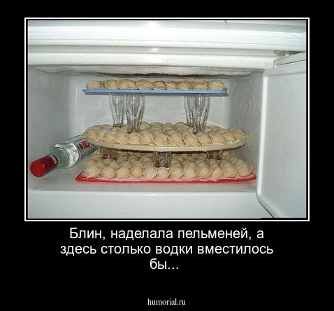 Блин, наделала пельменей, а здесь столько водки вместилось бы...