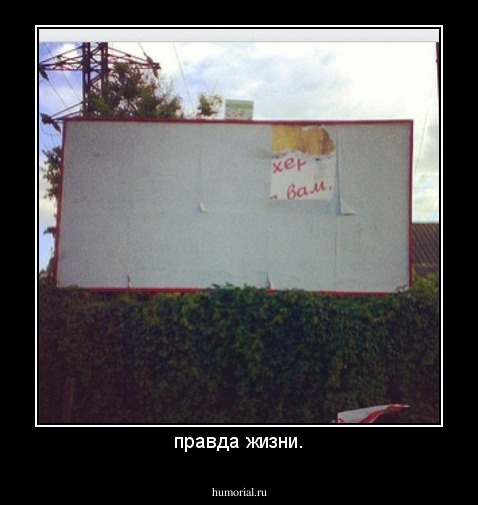 правда жизни.