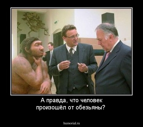 А правда, что человек произошёл от обезьяны?