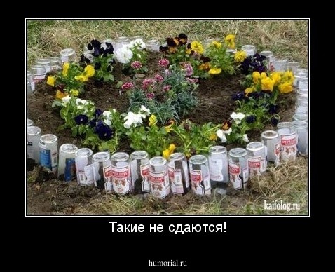 Такие не сдаются!