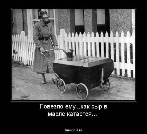 Повезло ему...как сыр в масле катается...