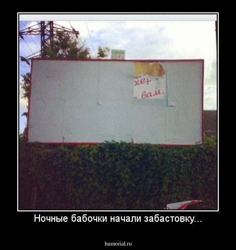 Ночные бабочки начали забастовку...