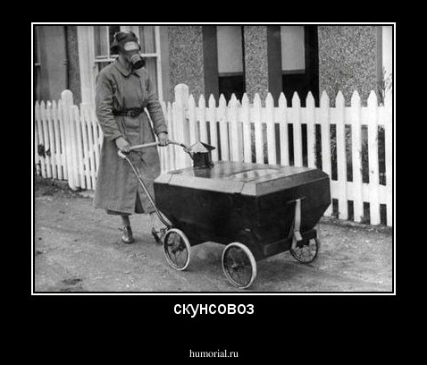 скунсовоз