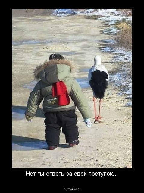 Нет ты ответь за свой поступок...