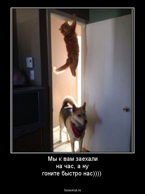 Мы к вам заехали на час,  а ну гоните быстро нас))))
