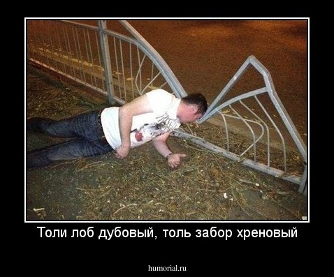 Толи лоб дубовый, толь забор хреновый