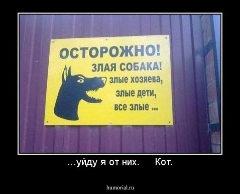 ...уйду я от них.     Кот.