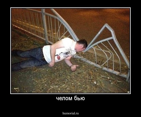 челом бью