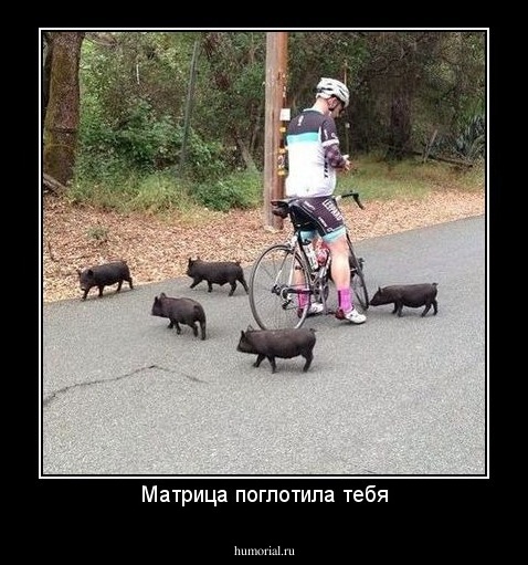 Матрица поглотила тебя