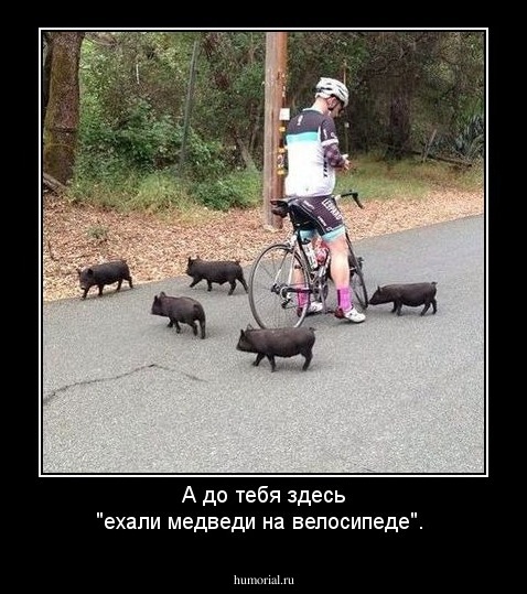 А до тебя здесь "ехали медведи на велосипеде".