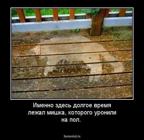 Именно здесь долгое время лежал мишка, которого уронили на пол.