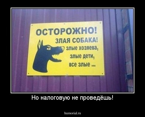 Но налоговую не проведёшь!