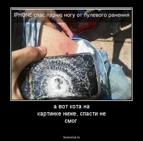 а вот кота на картинке ниже, спасти не смог