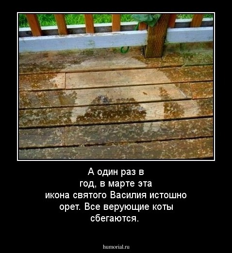 А один раз в год, в марте эта икона святого Василия истошно орет. Все верующие коты сбегаются.