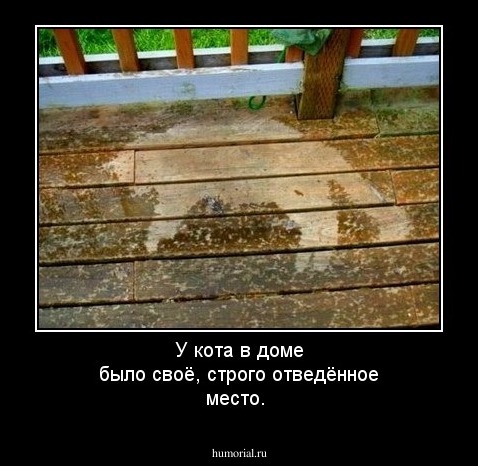 У кота в доме было своё, строго отведённое место.