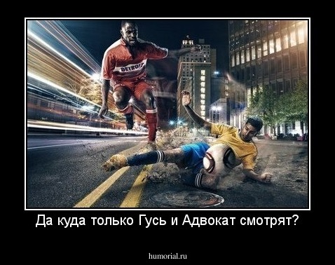 Да куда только Гусь и Адвокат смотрят?
