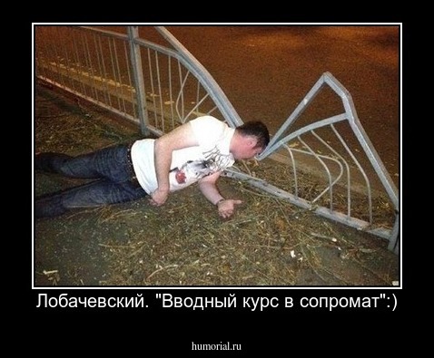 Лобачевский. "Вводный курс в сопромат":)
