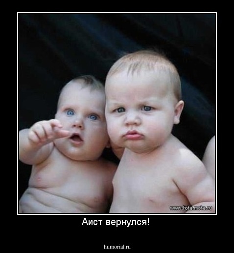 Аист вернулся! 