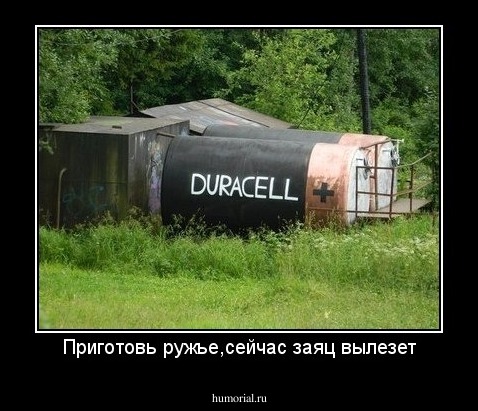 Приготовь ружье,сейчас заяц вылезет