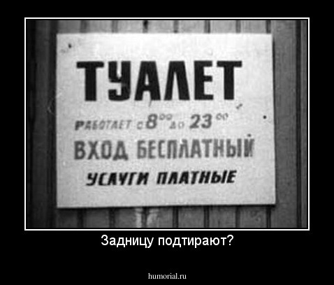 Задницу подтирают?