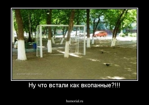 Ну что встали как вкопанные?!!!