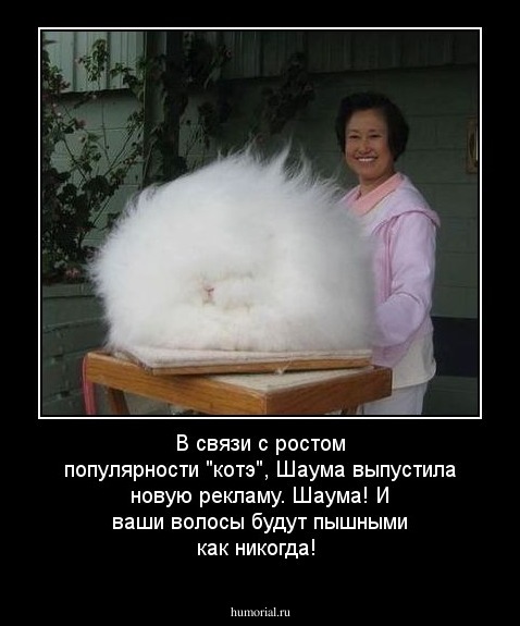 В связи с ростом популярности "котэ", Шаума выпустила новую рекламу.
Шаума! И ваши волосы будут пышными как никогда! 