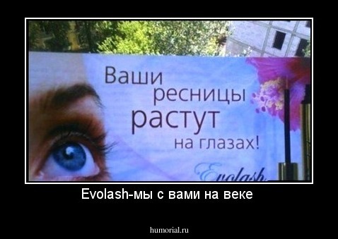 Evolash-мы с вами на веке 
