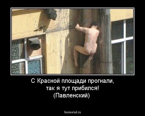 С Красной площади прогнали, так я тут прибился! (Павленский)
