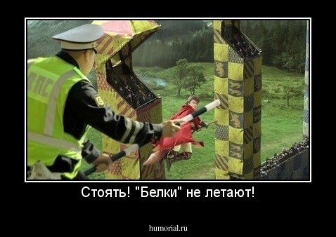 Стоять! "Белки" не летают!