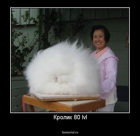 Кролик 80 lvl
