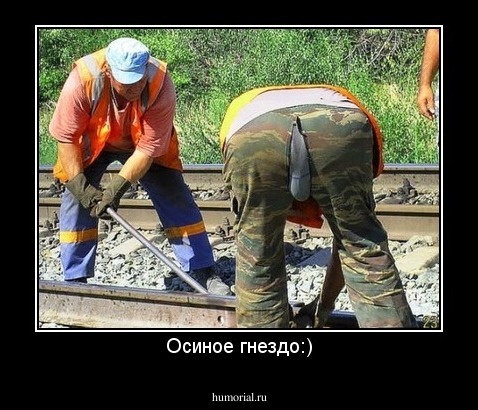 Осиное гнездо:)